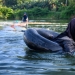 3 km de natación superar los 80 años de edad, la mujer con Sulawesi, para producir agua potable 3 km de natación superar los 80 años de edad, la mujer con Sulawesi, para producir agua potable