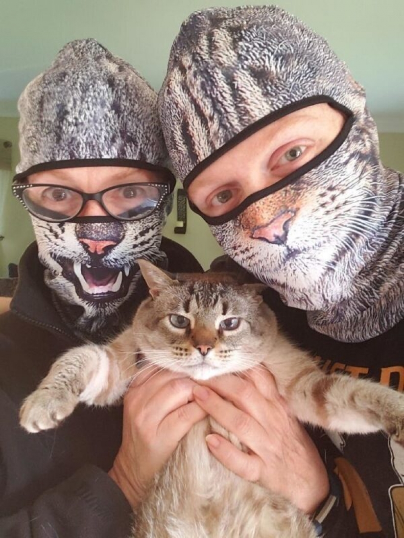 30 extrañas y divertidas máscaras protectoras para gatos