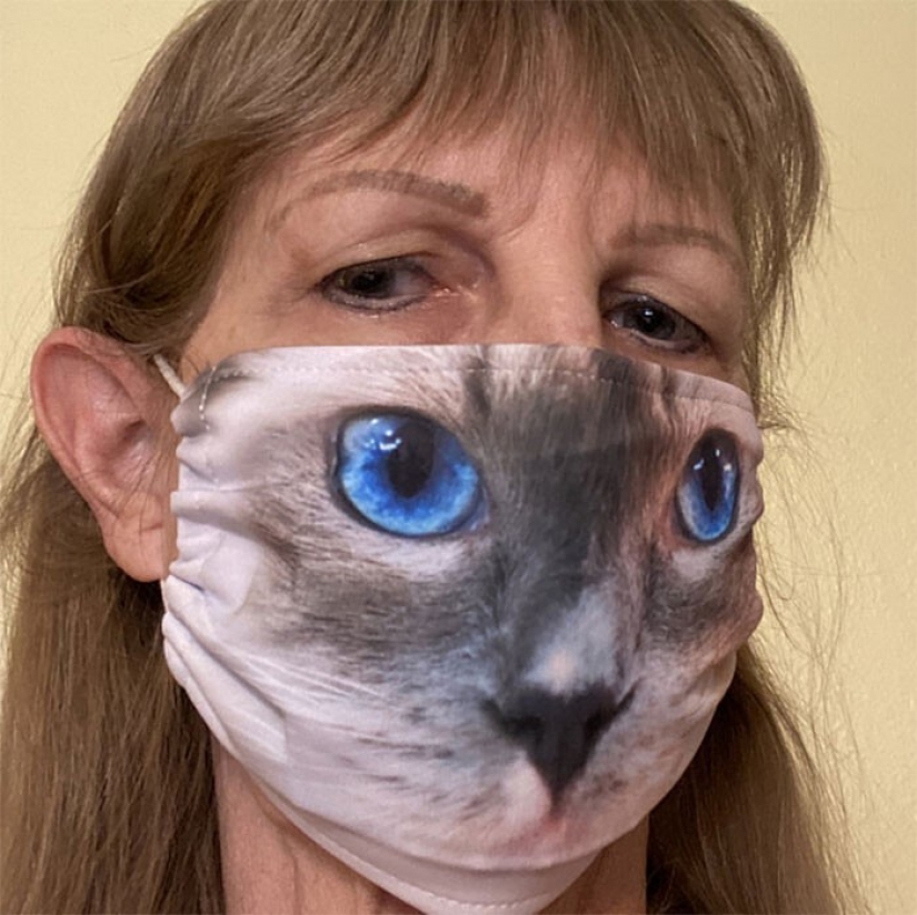 30 extrañas y divertidas máscaras protectoras para gatos