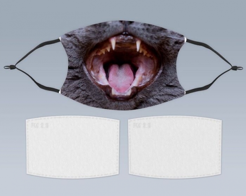 30 extrañas y divertidas máscaras protectoras para gatos