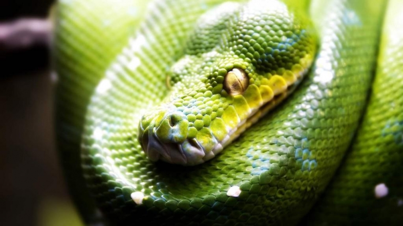 30 facts about which you probably did not know