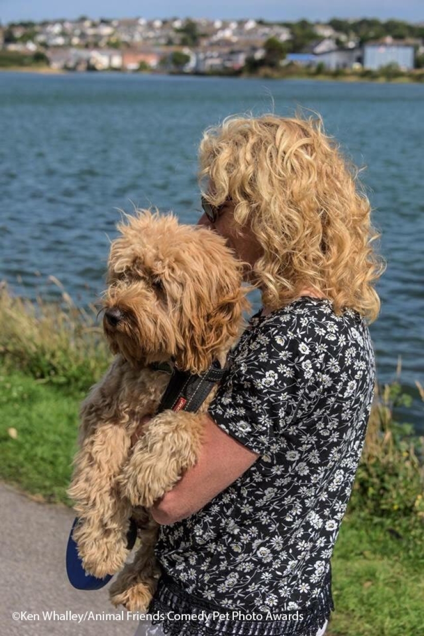 30 funny pictures of animals from the Comedy Pet Photo Awards 2021