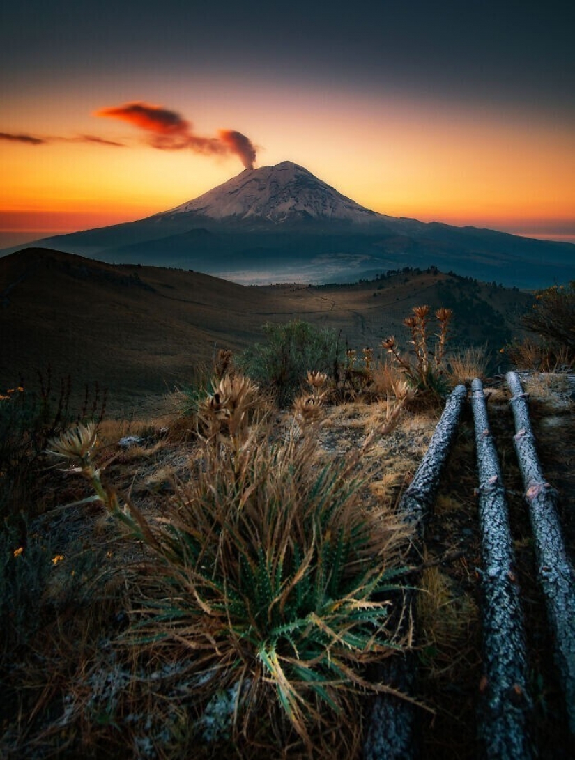 30 poderosas imágenes de la competencia de los Premios de Fotografía Sony