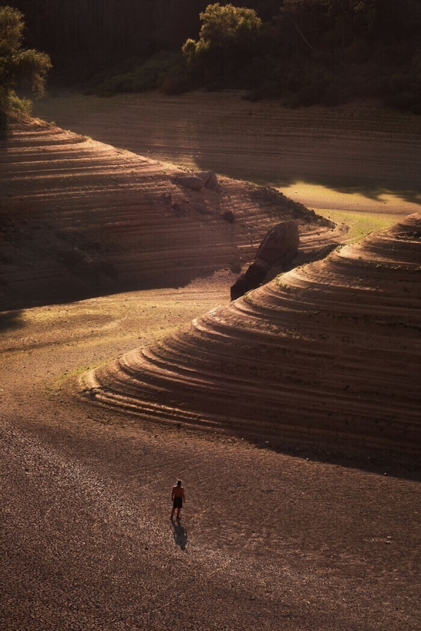 30 powerful images from the competition Sony Photography Awards