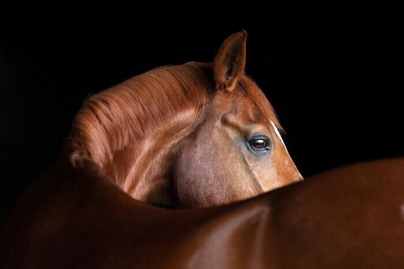 30 powerful images from the competition Sony Photography Awards