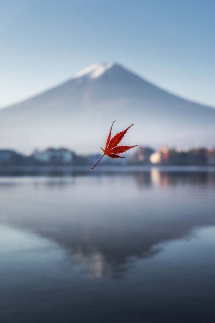 30 powerful images from the competition Sony Photography Awards