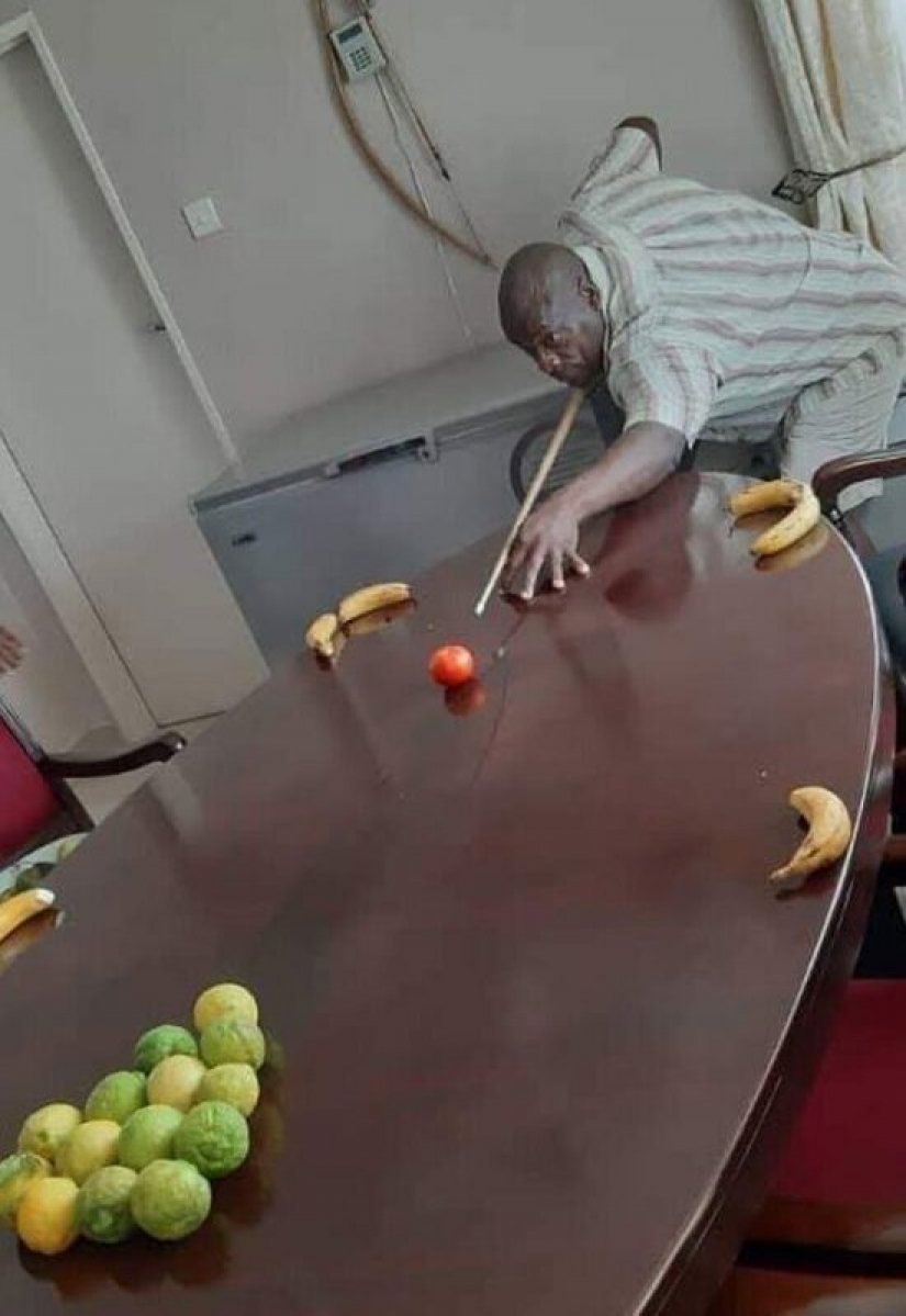 30 projects from the "skillful hands" quarantined