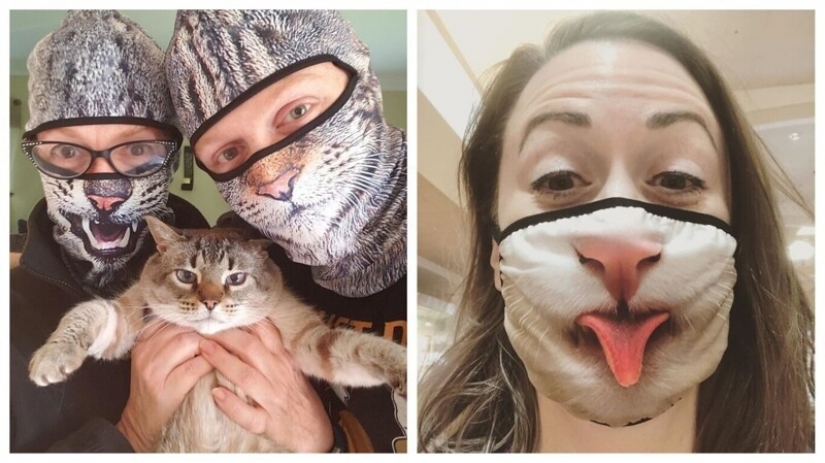 30 strange and funny protective masks for cat people 30 strange and funny protective masks for cat people