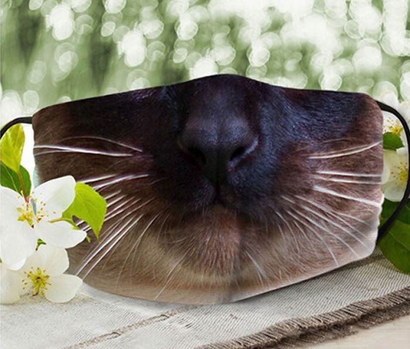 30 strange and funny protective masks for cat people 30 strange and funny protective masks for cat people