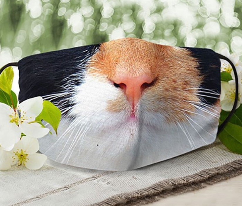 30 strange and funny protective masks for cat people 30 strange and funny protective masks for cat people