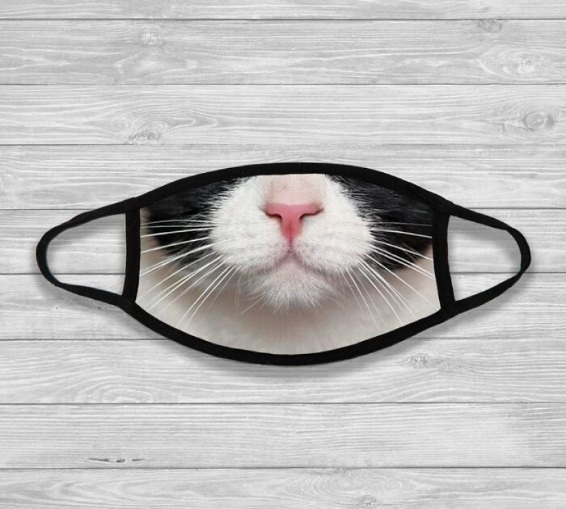 30 strange and funny protective masks for cat people 30 strange and funny protective masks for cat people
