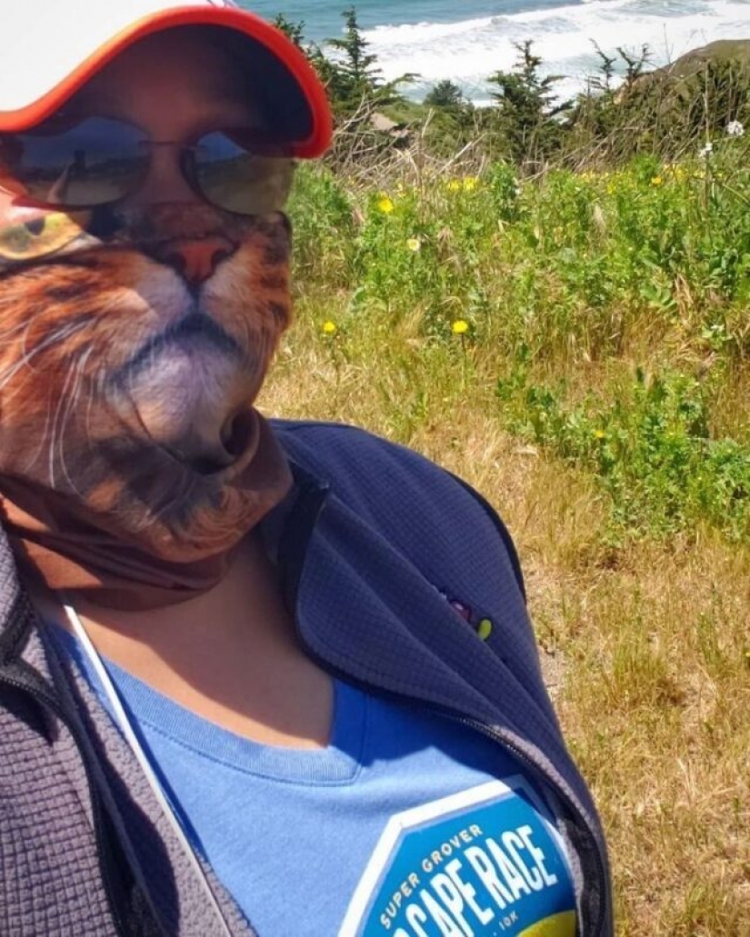 30 strange and funny protective masks for cat people 30 strange and funny protective masks for cat people