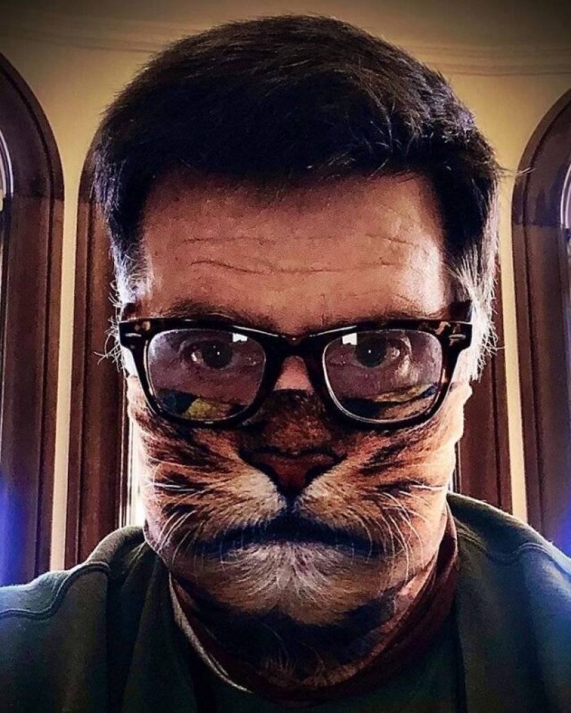 30 strange and funny protective masks for cat people 30 strange and funny protective masks for cat people