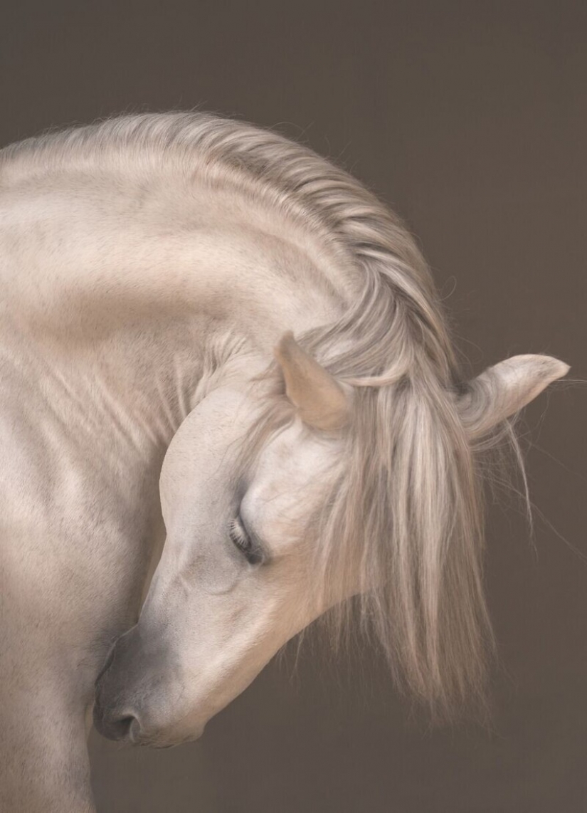 30 stunning pictures show the grandeur of our nature