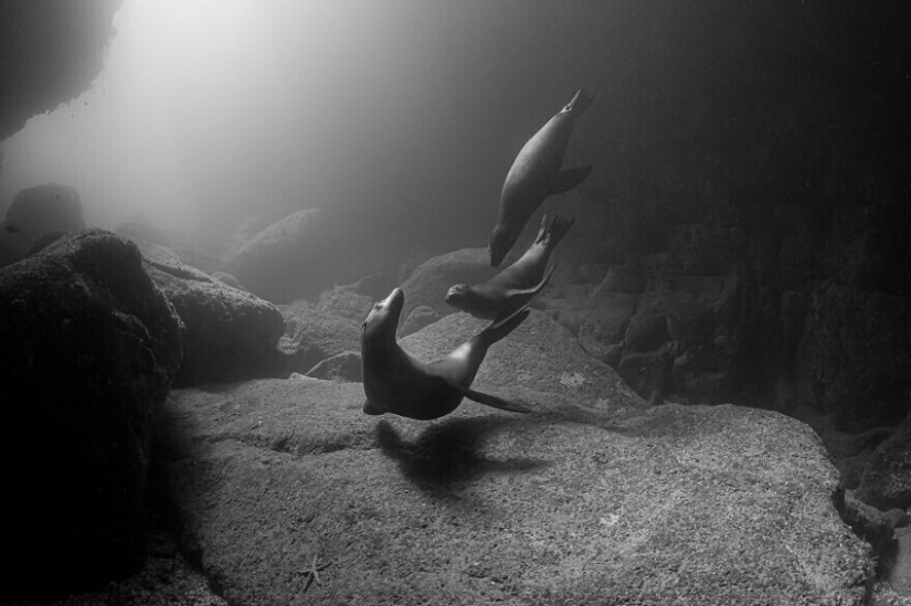 30 stunning pictures show the grandeur of our nature