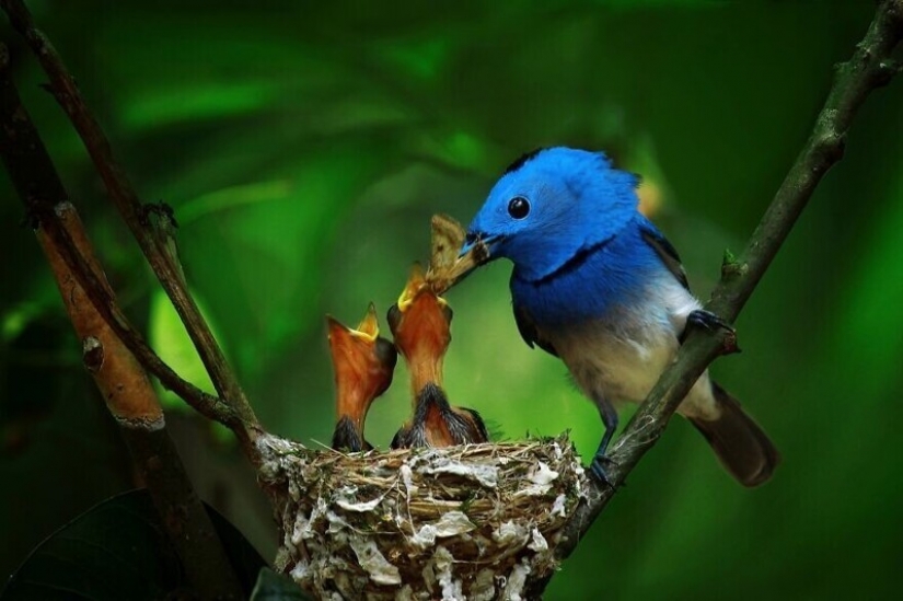 30 stunning pictures show the grandeur of our nature