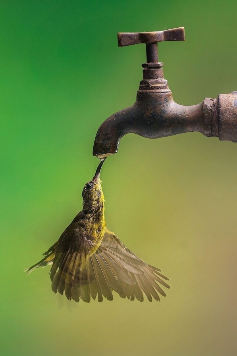 30 stunning pictures show the grandeur of our nature