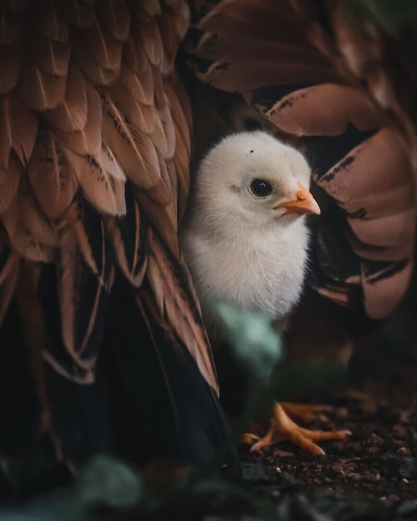 30 stunning pictures show the grandeur of our nature
