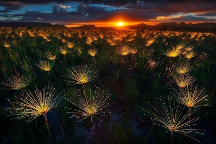 30 stunning pictures show the grandeur of our nature