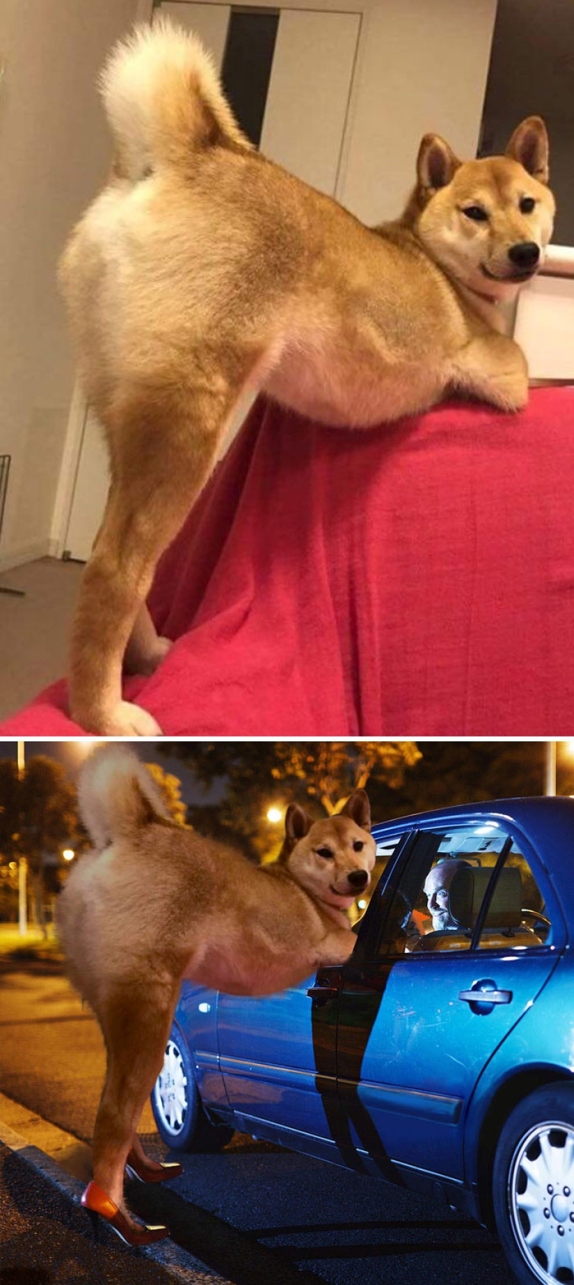 35 ganadores de la épica batalla de photoshop 35 ganadores de la épica batalla de photoshop