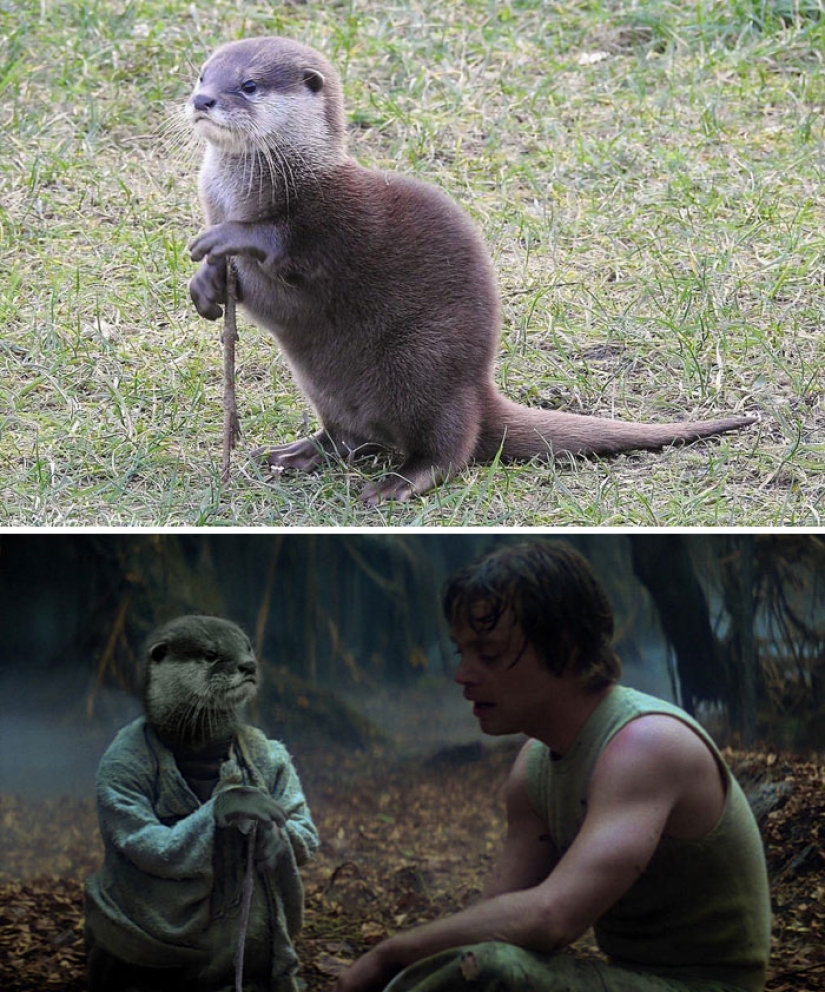 35 ganadores de la épica batalla de photoshop 35 ganadores de la épica batalla de photoshop