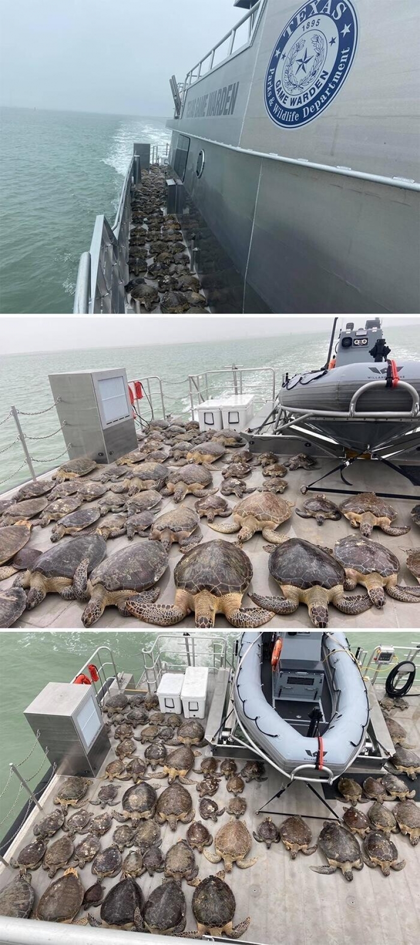 35 photographs about what is happening now in the frozen Texas