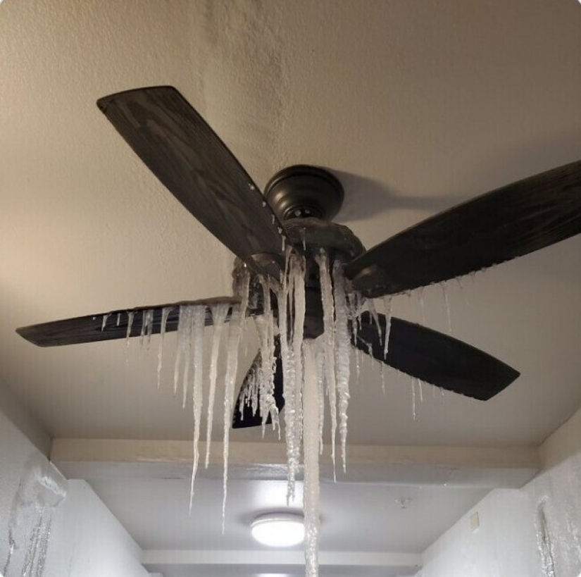 35 photographs about what is happening now in the frozen Texas