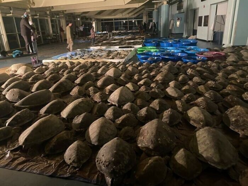 35 photographs about what is happening now in the frozen Texas