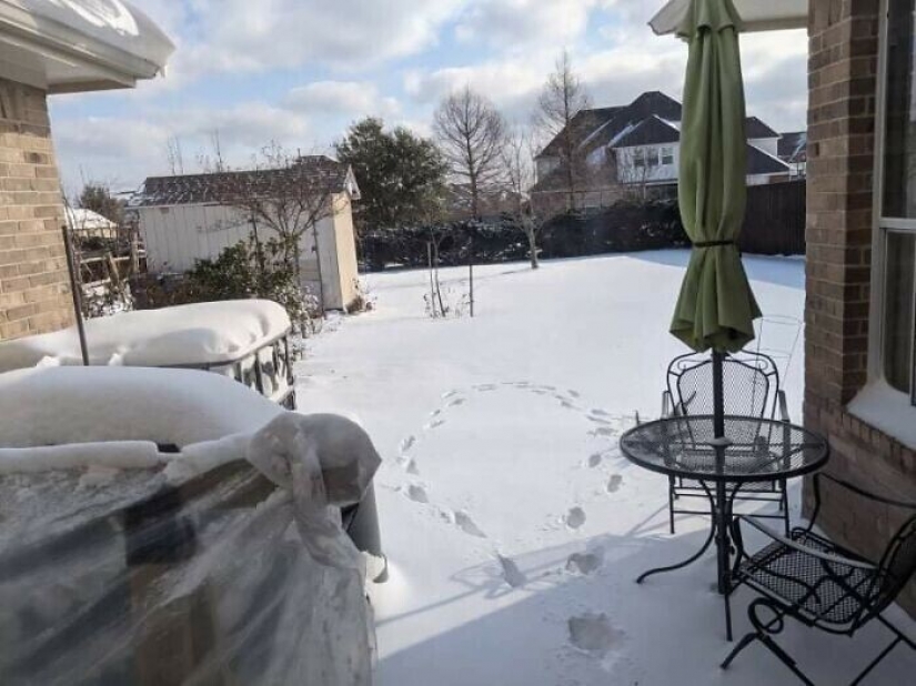35 photographs about what is happening now in the frozen Texas