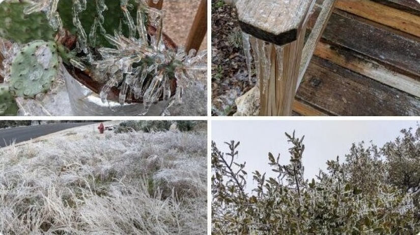 35 photographs about what is happening now in the frozen Texas