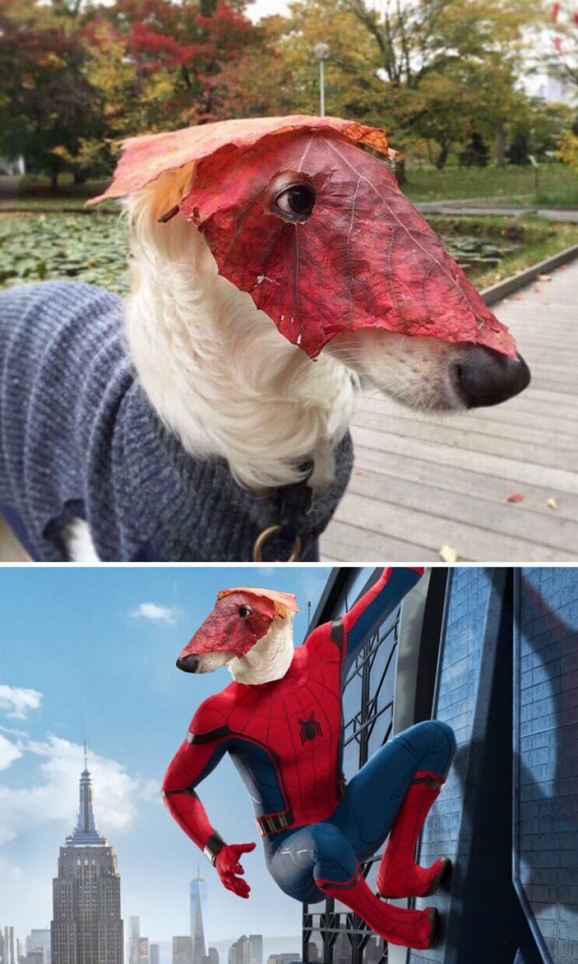 35 winners epic photoshop battle