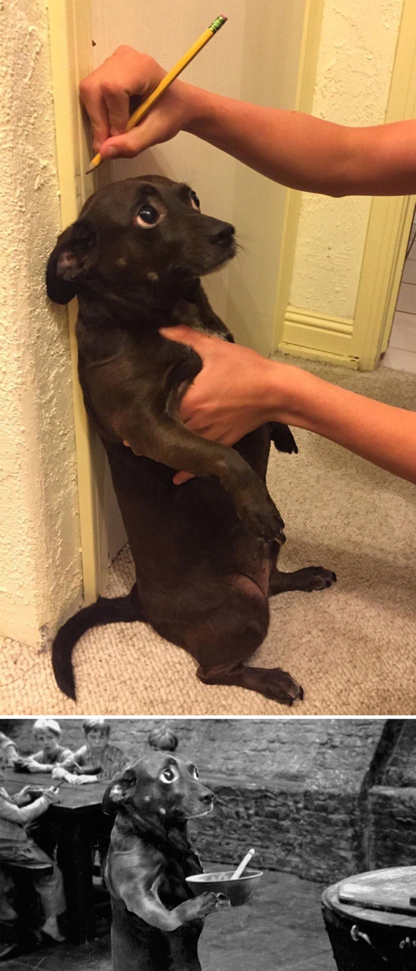 35 winners epic photoshop battle