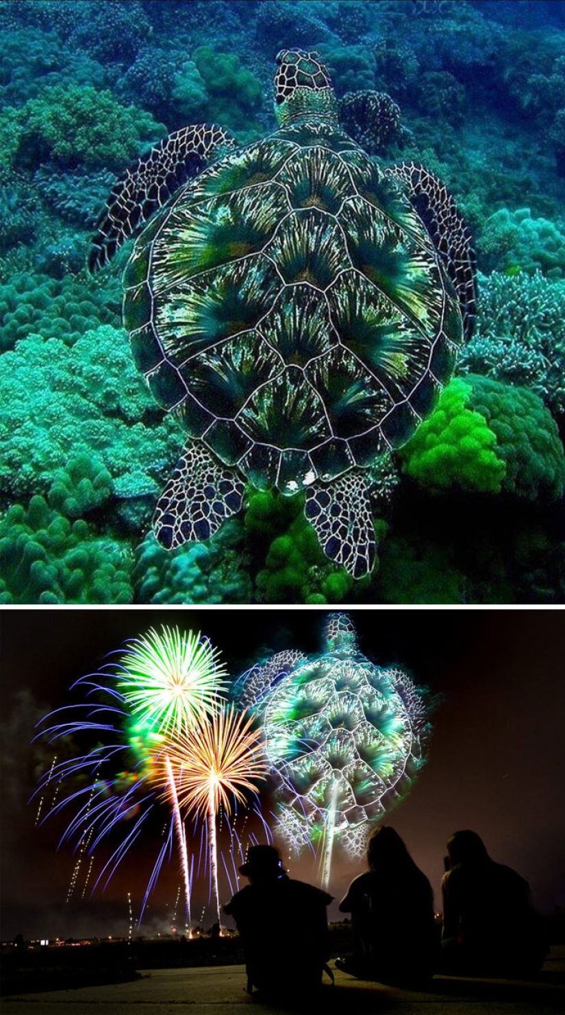 35 winners epic photoshop battle