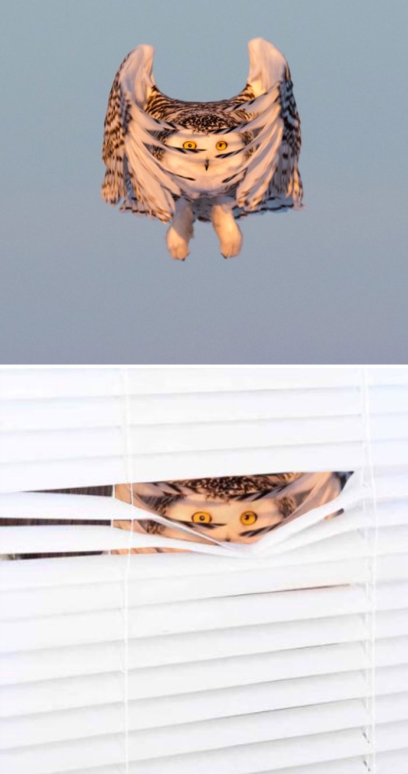 35 winners epic photoshop battle