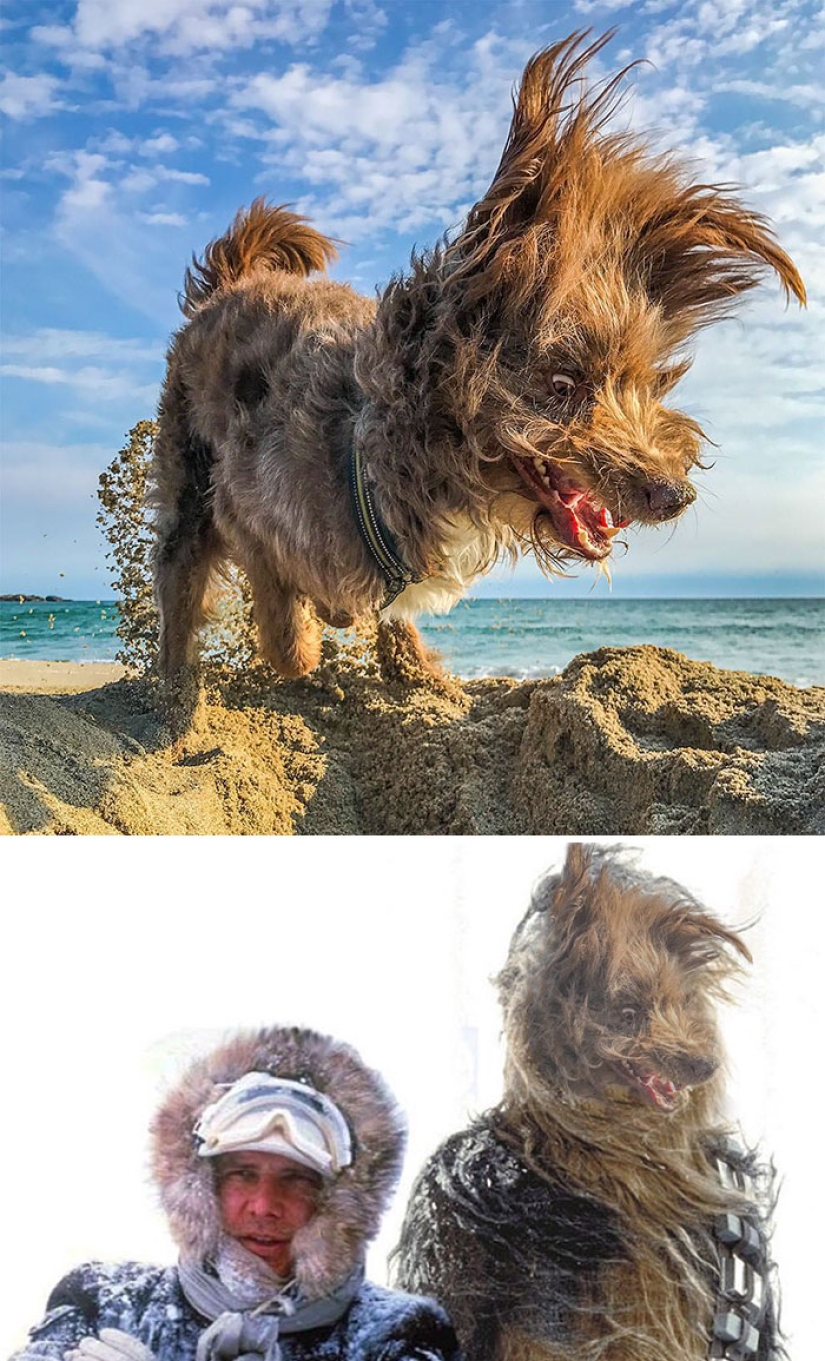 35 winners epic photoshop battle