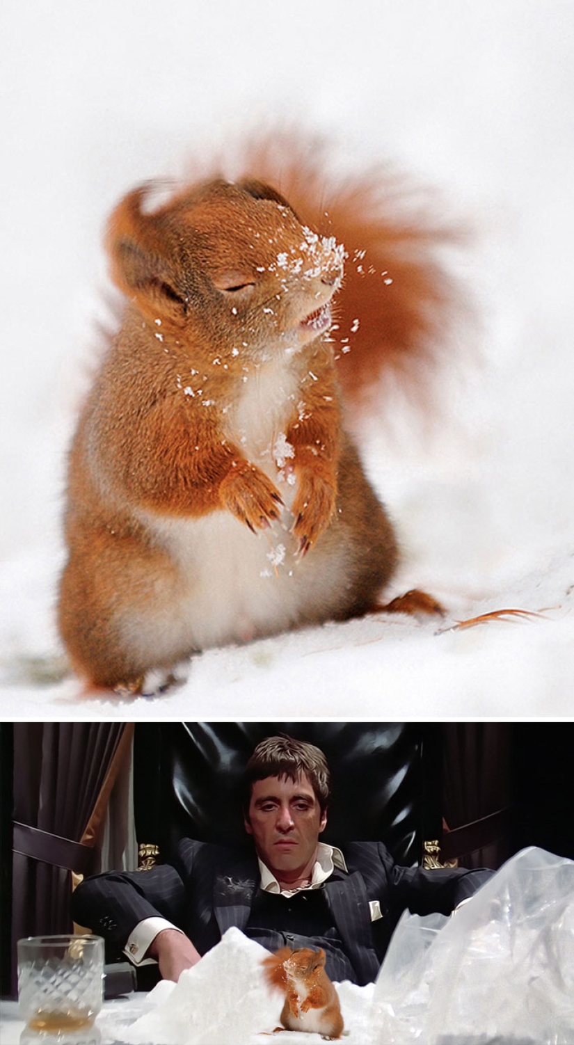 35 winners epic photoshop battle