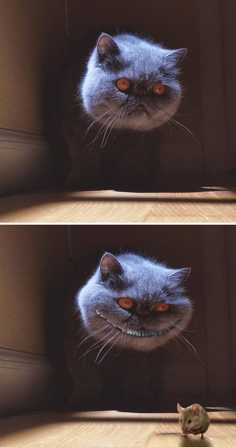 35 winners epic photoshop battle