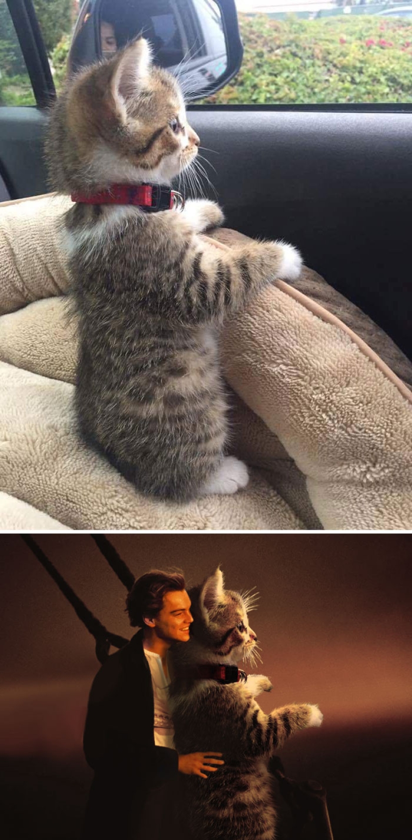 35 winners epic photoshop battle