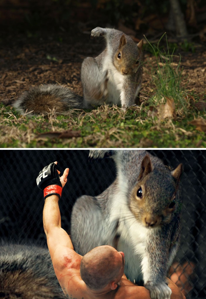 35 winners epic photoshop battle