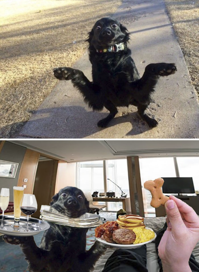 35 winners epic photoshop battle