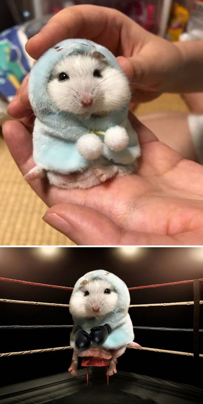 35 winners epic photoshop battle