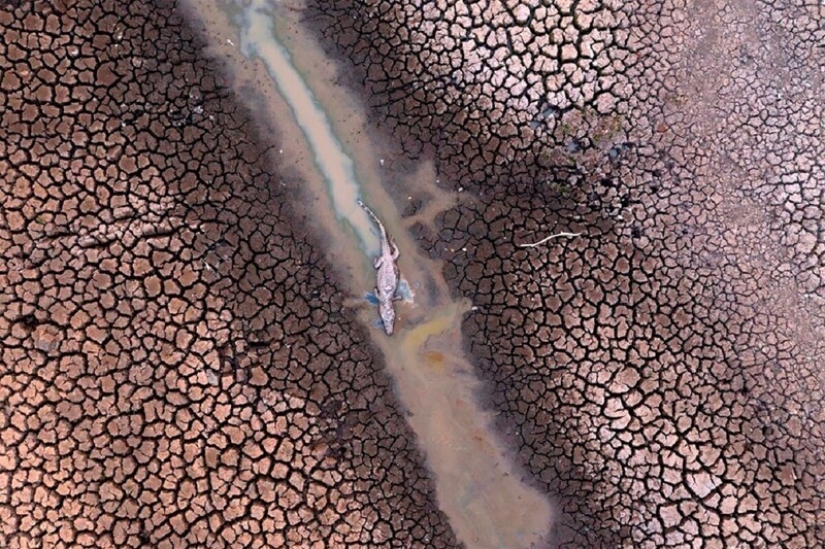 36 increíbles fotos de drones que muestran la diversidad de nuestro planeta durante la pandemia