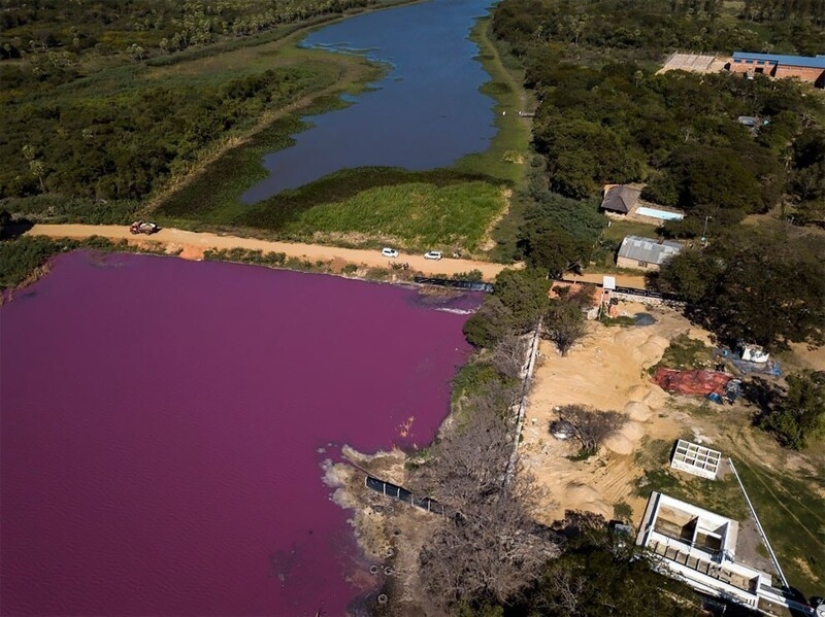 36 increíbles fotos de drones que muestran la diversidad de nuestro planeta durante la pandemia