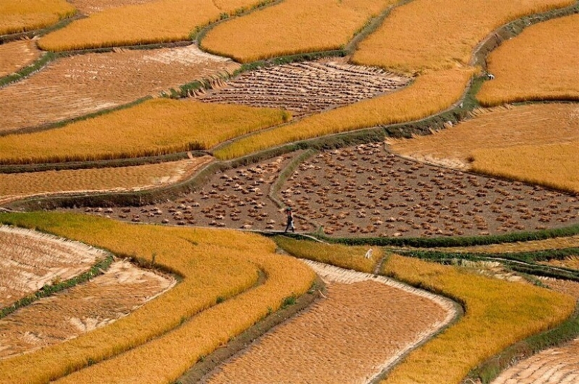 36 incredible drone photos showing the diversity of our planet during the pandemic