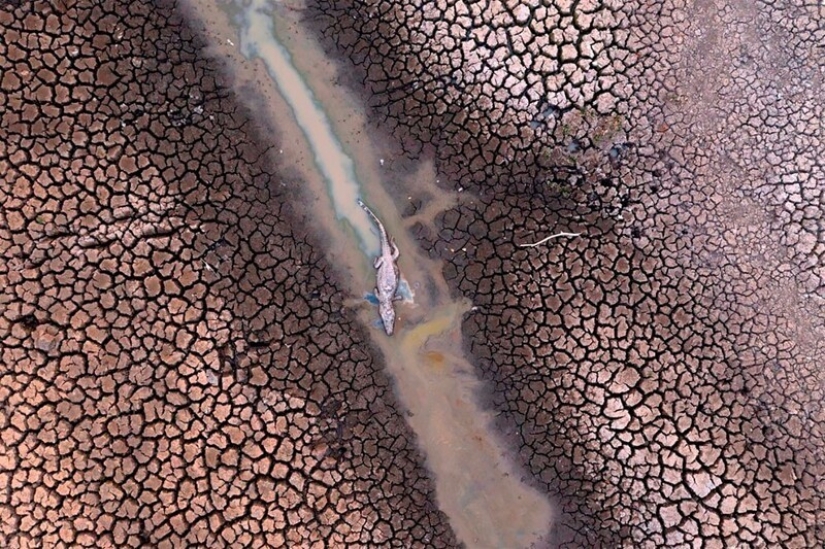 36 incredible drone photos showing the diversity of our planet during the pandemic