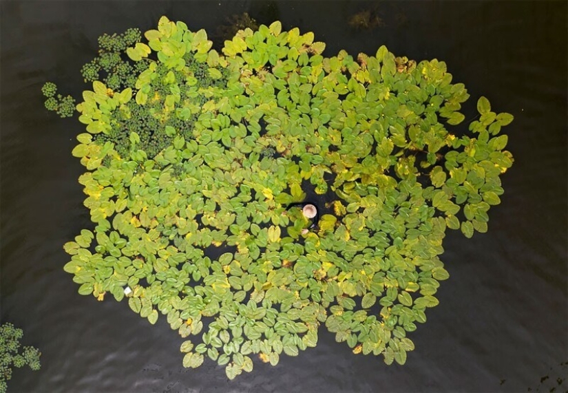 36 incredible drone photos showing the diversity of our planet during the pandemic
