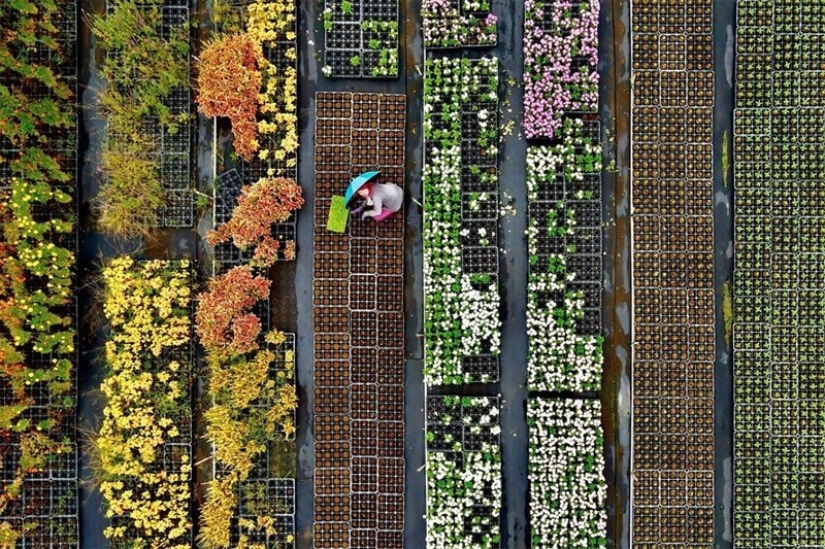 36 incredible drone photos showing the diversity of our planet during the pandemic