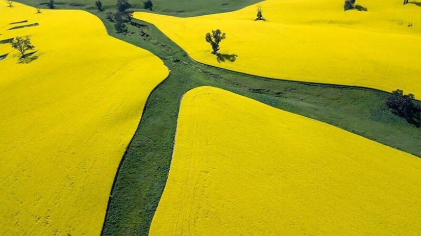 36 incredible drone photos showing the diversity of our planet during the pandemic