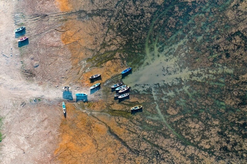 36 incredible drone photos showing the diversity of our planet during the pandemic