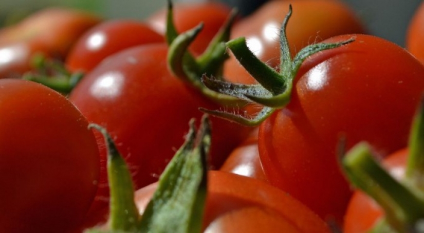 5 alimentos cancerígenos que debes evitar en tu dieta